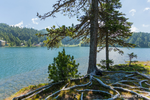 Uitzicht vanaf boomhut Nature chalets Turracher Höhe 1 in Oostenrijk op meer, bomen en bergen.