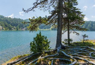 Uitzicht vanaf boomhut Nature chalets Turracher Höhe 1 in Oostenrijk op meer, bomen en bergen.