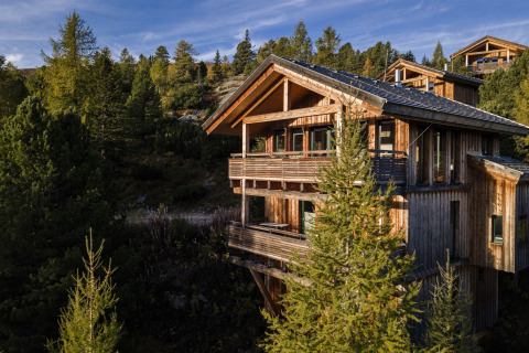 Boomhut Nature chalets Turracher Höhe 1 in Oostenrijk, omringd door dennenbomen en een bergachtig landschap.
