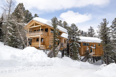 Alpenpark Turrach 21 wooden chalet covered in snow, nestled among pine trees in a beautiful winter landscape.