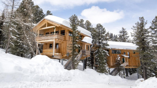 Alpenpark Turrach 21 houten chalet bedekt met sneeuw, gelegen tussen dennenbomen in een winterlandschap.