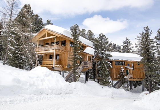 Alpenpark Turrach 21 wooden chalet covered in snow, nestled among pine trees in a beautiful winter landscape.