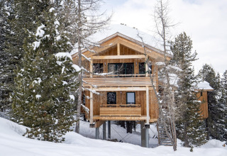 Wooden chalet Alpenpark Turrach 21 in Austria, surrounded by pine trees and snow in a winter mountain setting.