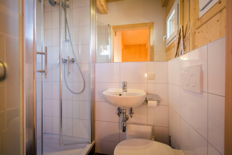 Modern compact bathroom with shower, sink and toilet at Alpenpark Turrach 21 chalet in Austria.