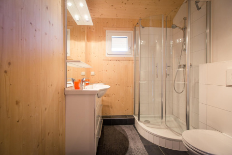 Modern bathroom with wood paneling, corner shower, toilet and sink at Alpenpark Turrach 21 in Austria.