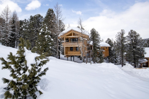 Alpenpark Turrach 21 chalet in Austria, surrounded by snow-covered trees and winter scenery in the mountains.