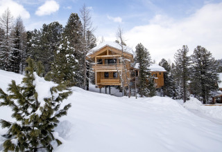Alpenpark Turrach 21 chalet in Austria, surrounded by snow-covered trees and winter scenery in the mountains.