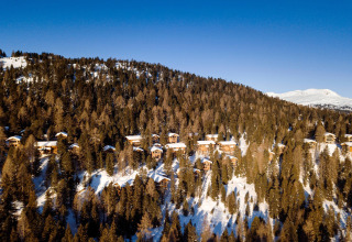 Snow-covered chalets nestled among pine trees at Alpenpark Turrach 21, Austria, under a clear blue sky.
