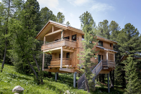 Wooden chalet Alpenpark Turrach 21 in Austria, elevated on stilts and surrounded by lush green trees.