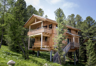 Wooden chalet Alpenpark Turrach 21 in Austria, elevated on stilts and surrounded by lush green trees.