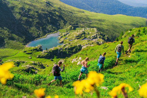 A group of hikers descends a lush green hill toward a lake at Alpenpark Turrach 21, Austria.
