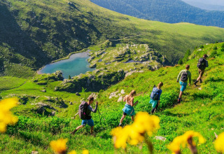 A group of hikers descends a lush green hill toward a lake at Alpenpark Turrach 21, Austria.