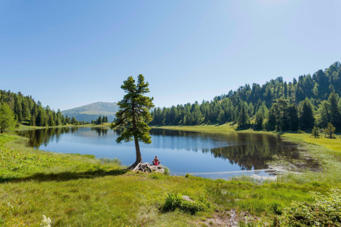 Peaceful lake at Alpenpark Turrach 21 in Austria, surrounded by green hills and pine forests, sunny sky.