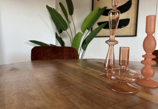 Houten tafel met stijlvolle glazen vazen en groene planten bij Zonneweelde Lodge Deluxe, Camping Zonneweelde.