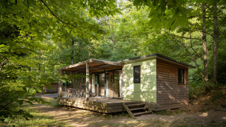En hyggelig Mobile home Vancouver-hytte ligger midt i en frodig grøn skov med sollys filtrerende gennem træerne.