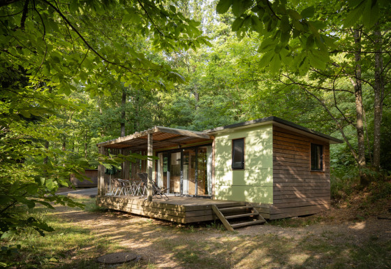 Gemütliches Mobile Home Vancouver steht inmitten eines grünen Waldes, umgeben von Bäumen und Natur.