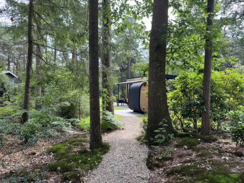 Bospaadje naar Veluwe Suite met sauna bij Camping Samoza, omgeven door bomen in Nederland.
