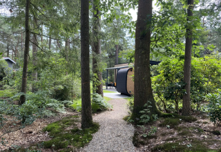 Waldweg zur Veluwe Suite mit Sauna im Camping Samoza, umgeben von Bäumen in den Niederlanden.
