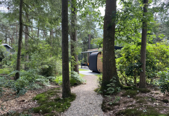 Sendero en el bosque hacia la Veluwe Suite con sauna en Camping Samoza, rodeada de árboles en Países Bajos.