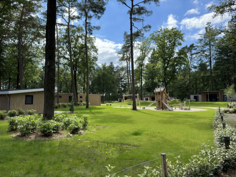 Groene omgeving bij Veluwe Villa op Camping Samoza in Nederland met chalets, hoge bomen en speeltuin.