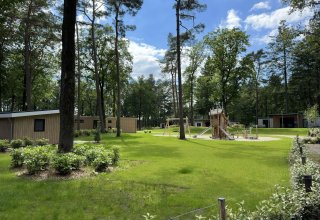 Groene omgeving bij Veluwe Villa op Camping Samoza in Nederland met chalets, hoge bomen en speeltuin.