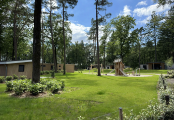 Area verde alla Veluwe Villa al Camping Samoza nei Paesi Bassi con casette, altalene e alberi alti.