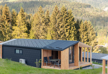 Modern chalet met houten terras en uitzicht op bergen en bossen, gelegen in Oostenrijk.