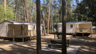 Due chalet presso Vlaamse gaai tra gli alberi alti, con tavolo da picnic in primo piano.