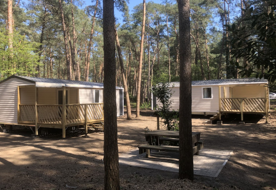 Twee chalets bij Vlaamse gaai tussen hoge bomen, met picknicktafel op de voorgrond.