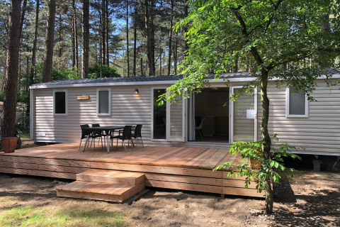 Chalet moderne nommé Goudhaantje avec terrasse en bois et mobilier extérieur, entouré de forêt.