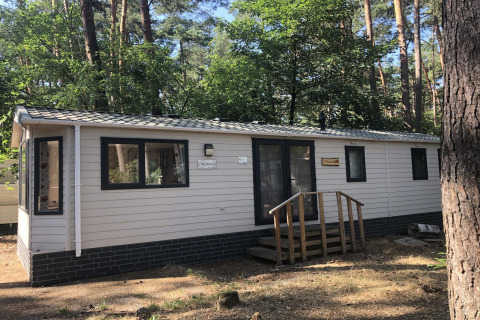 Photo d’un chalet nommé Koperwiek, situé dans une zone boisée avec des arbres et une lumière ensoleillée.