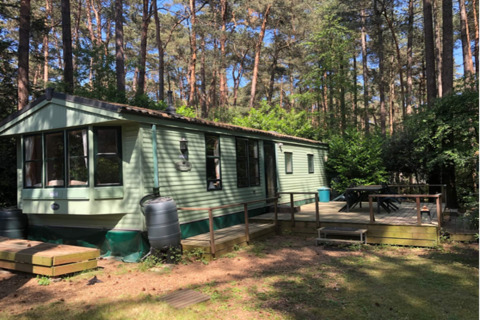 Mobil-home à Sijs Lodge au cœur de la forêt avec terrasse en bois et espaces extérieurs aménagés.