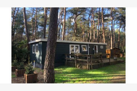 Foto del lodge Ekster in una foresta di pini, terrazza in legno e area salotto all’aperto soleggiata.