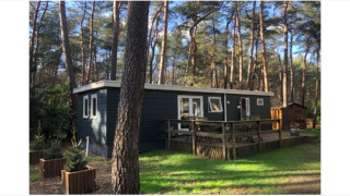 Foto del lodge Ekster in una foresta di pini, terrazza in legno e area salotto all’aperto soleggiata.