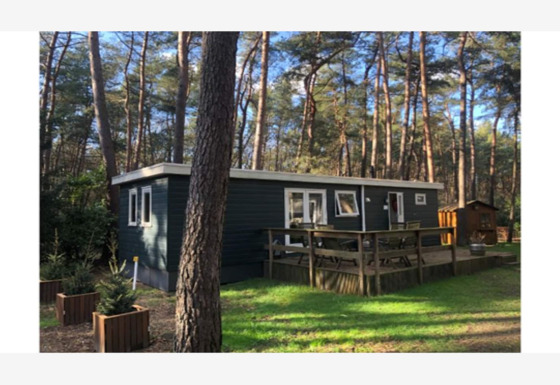 Foto del lodge Ekster in una foresta di pini, terrazza in legno e area salotto all’aperto soleggiata.