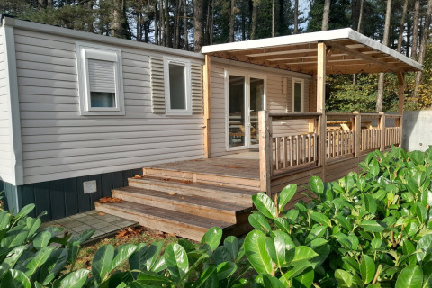 Vakantiewoning bij Verblijfpark Breebos 3 met houten veranda, overkapping en groene planten in het bos.