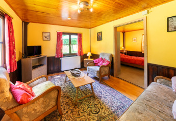 Cozy living room in the «Les Bouleaux» lodge in Belgium, featuring vintage decor and a view to the bedroom.