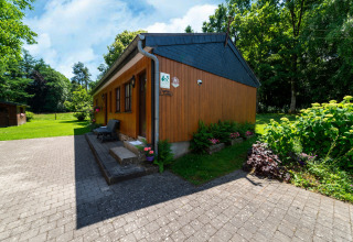 Afbeelding van het houten lodge ‘Les Bouleaux’ in België, omringd door een groene tuin en bomen.
