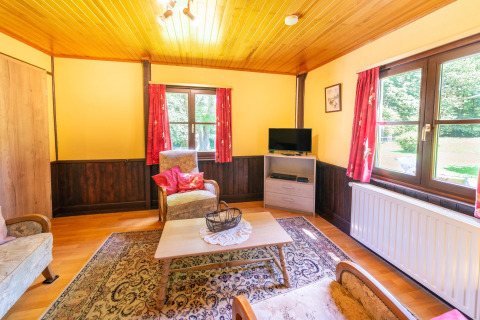 Woonkamer in lodge 'Les Bouleaux' in België met houten plafond, vloerkleed, kast en uitzicht op tuin.