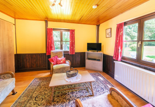 Woonkamer in lodge 'Les Bouleaux' in België met houten plafond, vloerkleed, kast en uitzicht op tuin.