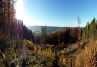 Panoramisch uitzicht vanaf lodge Les Bouleaux in België, met zonovergoten bossen en heuvelachtig landschap.