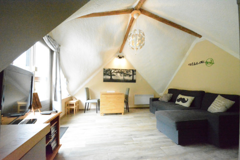 Woonkamer van chalet 'Mise Au Vert' in België met schuin plafond, grote bank, tv en eethoek.