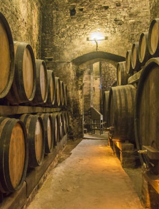 Rustic wine cellar at a glamping holiday park, with large oak barrels and stone walls under warm lighting.