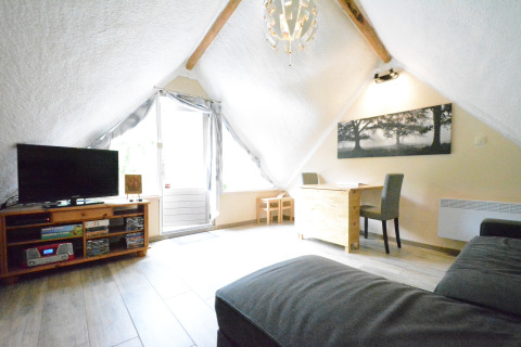 Lichte woonkamer in chalet Mise Au Vert in België met schuin dak, tv, bank en bureau.