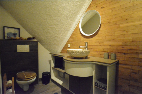 Moderne badkamer in Chalet Mise Au Vert, België, met houten accenten, wasbak, spiegel en toilet.