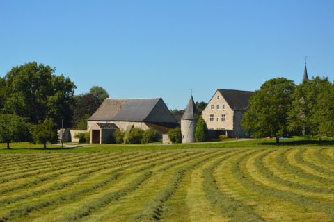 Foto van chalet 'Mise Au Vert' in België, met groene grasvelden, bomen en oude stenen gebouwen.