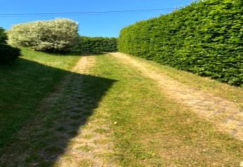 Kiesweg am Chalet 'Mise Au Vert' in Belgien, gesäumt von grünen Hecken und Bäumen bei Sonnenschein.