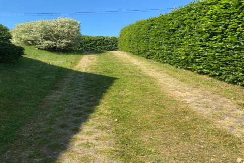 Kiezelpad bij chalet 'Mise Au Vert' in België, omringd door groene hagen en een boom onder een blauwe hemel.