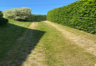 Kiezelpad bij chalet 'Mise Au Vert' in België, omringd door groene hagen en een boom onder een blauwe hemel.