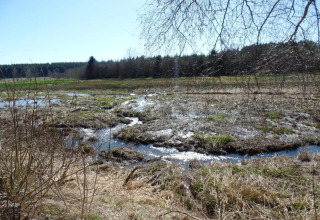 Buitenfoto genomen vanaf een chalet met uitzicht op een moerassig gebied, beekjes en een bos op de achtergrond.